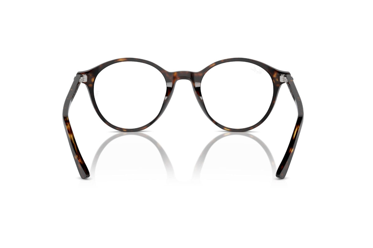 Ray-Ban Vista Bernard